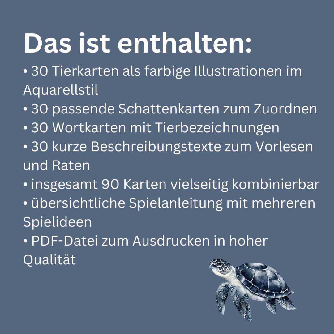 Schattentiere – Zuordnungs- und Memoryspiel – Bild 4